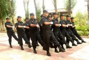 上海保安公司哪家强，选择上海中城卫为你的出行护航