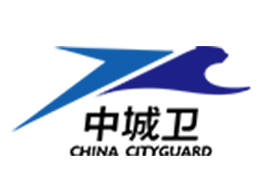 音乐节安保至关重要，上海保安公司哪家强？